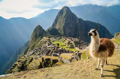 Trilha de São Vicente até Cusco: conheça o caminho do Peabiru